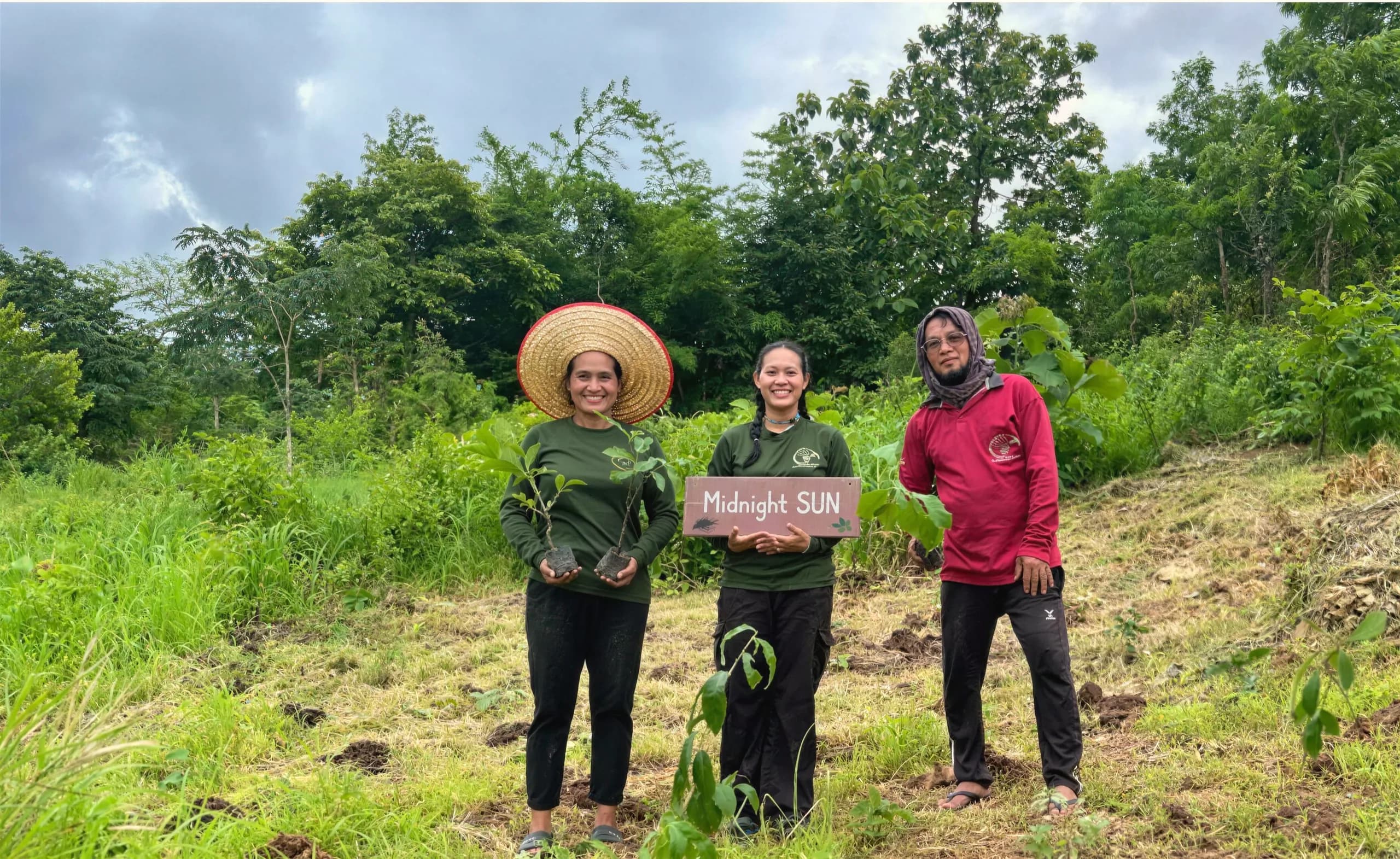 Three Midnight Sun volunteers in a cleared field, holding seedlings and a Midnight SUN sign